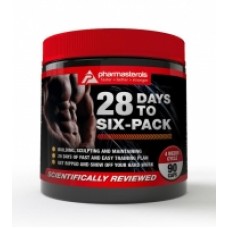 28 DAYS POUR UNE CORPS PARFAIT AVEC ABDOMINAUX APPARENTS